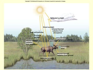 Direct sunlight Infrared thermal radiation from atmosphere Infrared thermal radiation from animal Convection wind Evaporation Dust and particles Scattered sunlight Infrared thermal radiation from vegetation Reflected sunlight Reflected sunlight Infrared thermal radiation from ground Copyright © The McGraw-Hill Companies, Inc. Permission required for reproduction or display. 