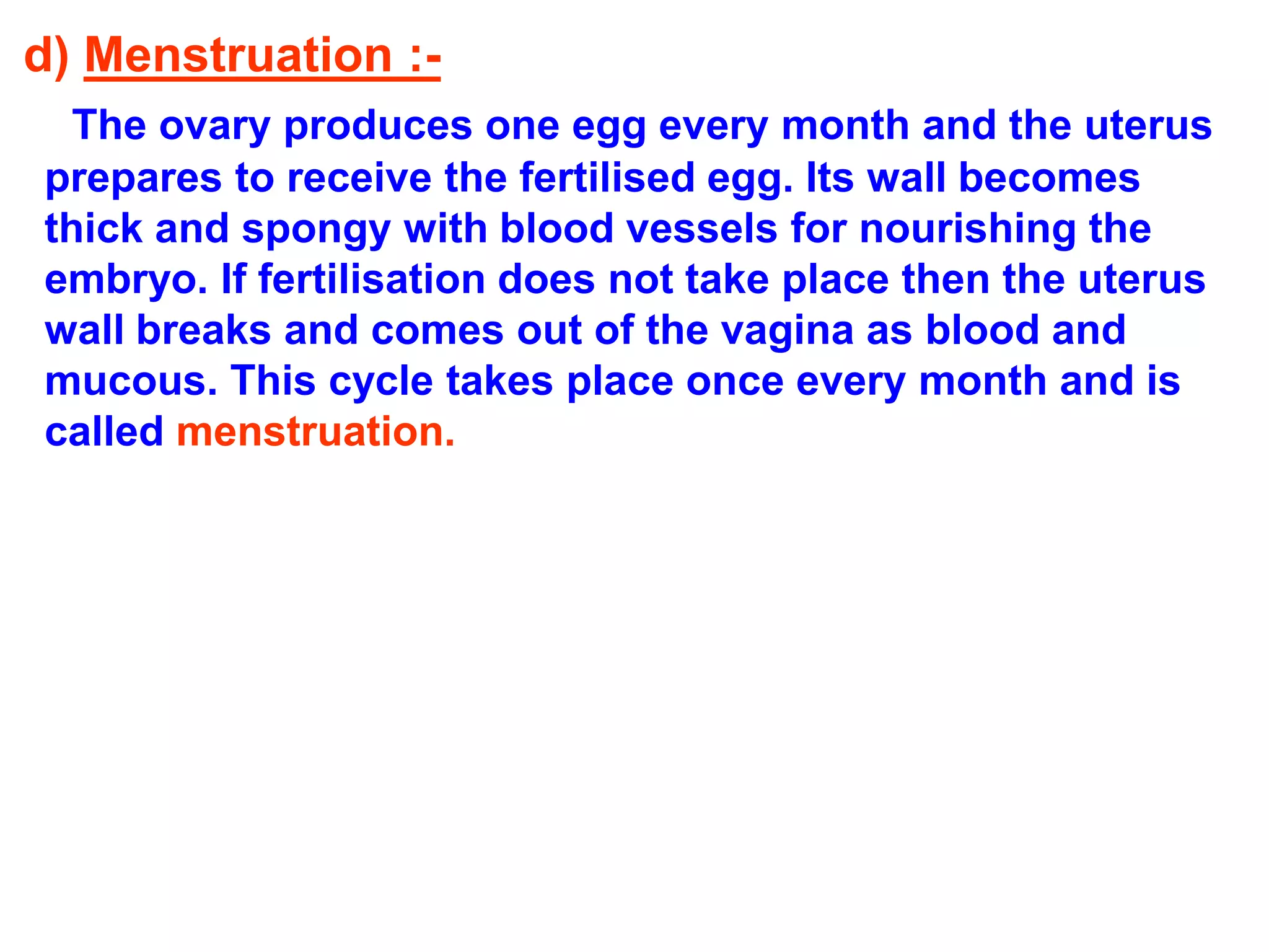 d) Menstruation :- 
The ovary produces one egg every month and the uterus 
prepares to receive the fertilised egg. Its wall becomes 
thick and spongy with blood vessels for nourishing the 
embryo. If fertilisation does not take place then the uterus 
wall breaks and comes out of the vagina as blood and 
mucous. This cycle takes place once every month and is 
called menstruation. 
 