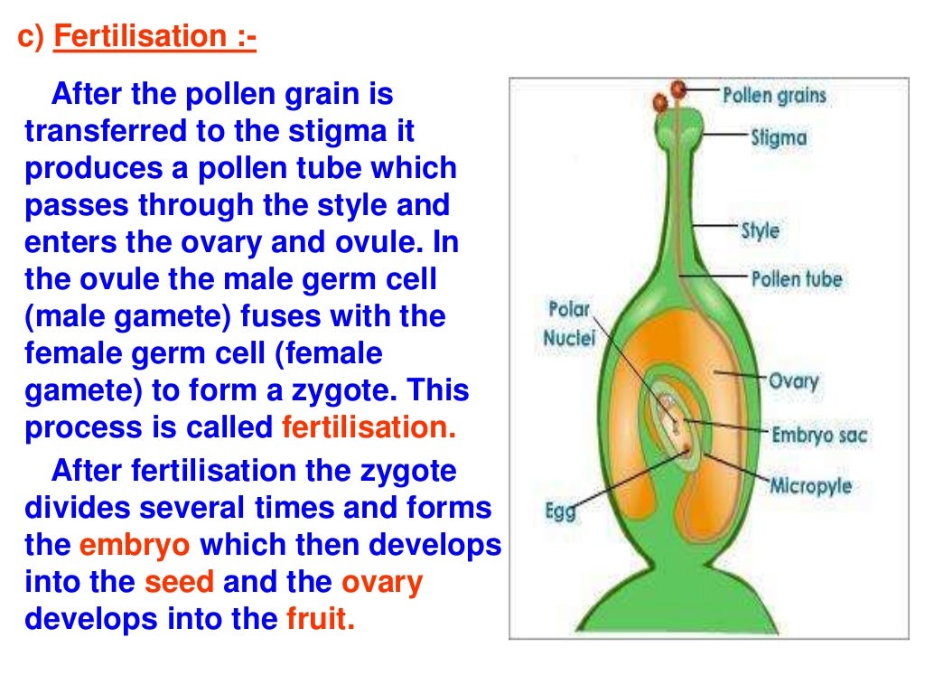 How do organisms reproduce.ppt