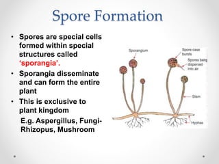 How do organisms reproduce | PPTX