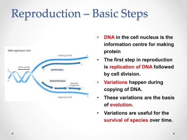 How do organisms reproduce | PPTX | Infertility | Reproductive Health