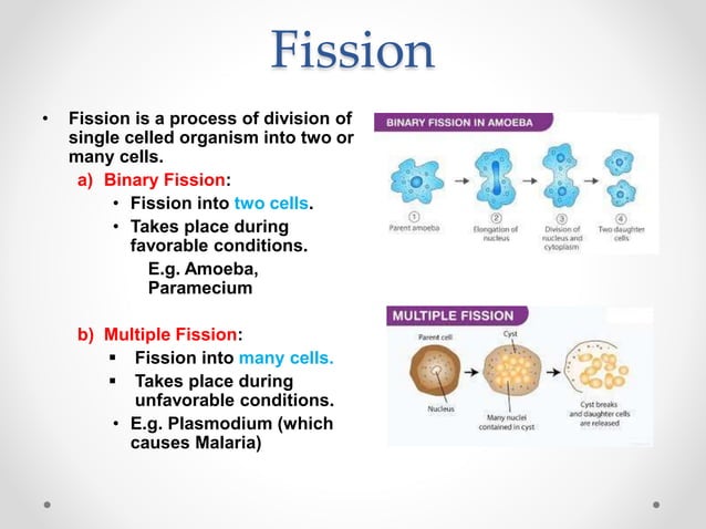 How do organisms reproduce | PPTX | Infertility | Reproductive Health