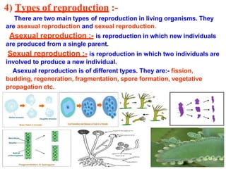 4) Types of reproduction :-
There are two main types of reproduction in living organisms. They
are asexual reproduction and sexual reproduction.
Asexual reproduction :- is reproduction in which new individuals
are produced from a single parent.
Sexual reproduction :- is reproduction in which two individuals are
involved to produce a new individual.
Asexual reproduction is of different types. They are:- fission,
budding, regeneration, fragmentation, spore formation, vegetative
propagation etc.
 