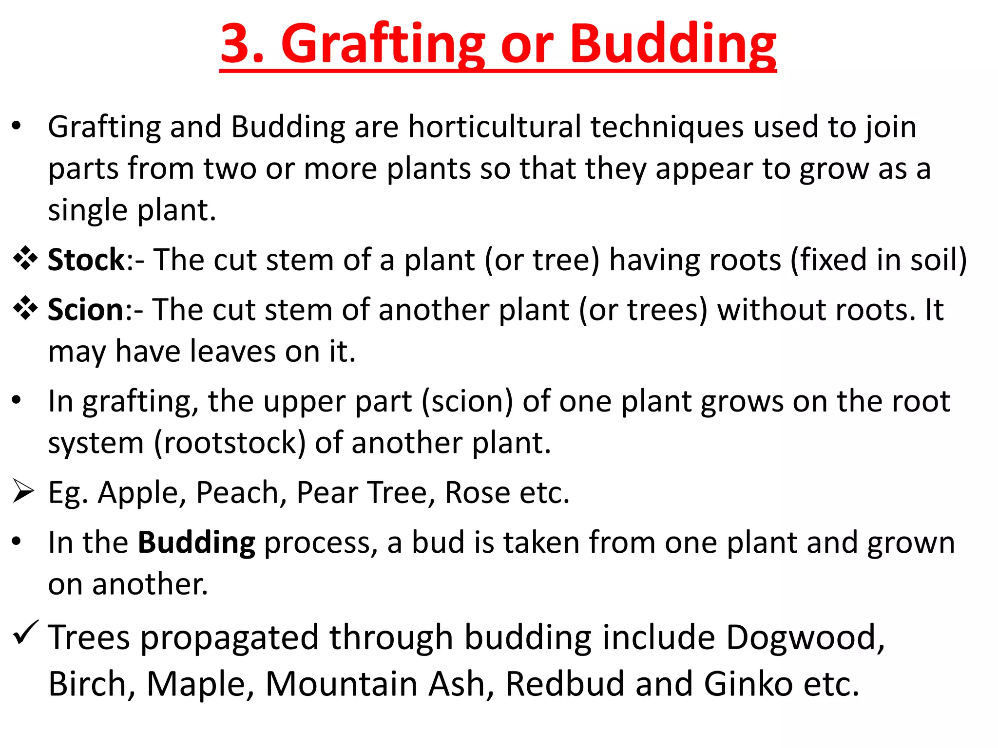 3. Grafting or Budding
• Grafting and Budding are horticultural techniques used to join
parts from two or more plants so that they appear to grow as a
single plant.
 Stock:- The cut stem of a plant (or tree) having roots (fixed in soil)
 Scion:- The cut stem of another plant (or trees) without roots. It
may have leaves on it.
• In grafting, the upper part (scion) of one plant grows on the root
system (rootstock) of another plant.
 Eg. Apple, Peach, Pear Tree, Rose etc.
• In the Budding process, a bud is taken from one plant and grown
on another.
 Trees propagated through budding include Dogwood,
Birch, Maple, Mountain Ash, Redbud and Ginko etc.
 
