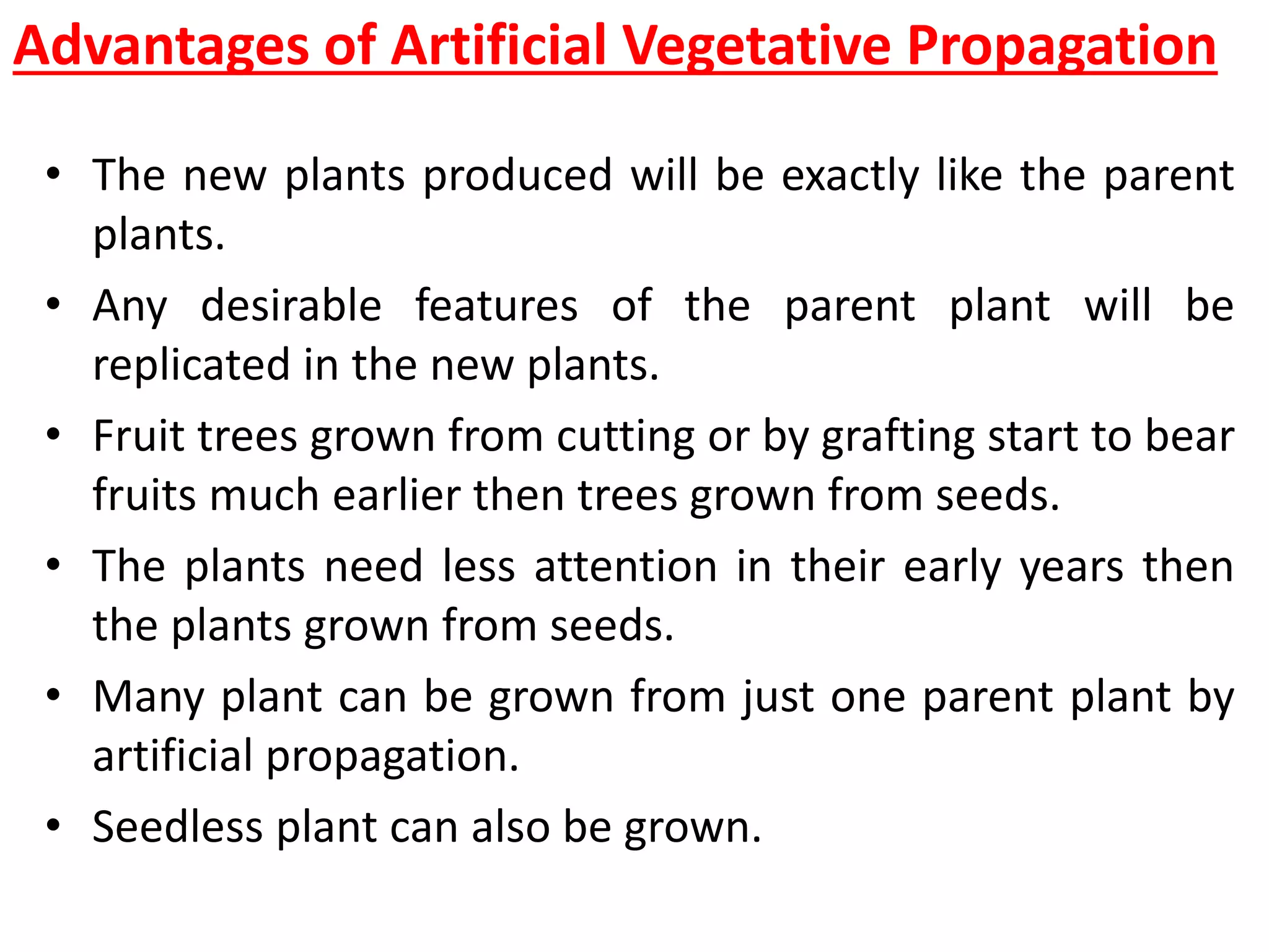Advantages of Artificial Vegetative Propagation
• The new plants produced will be exactly like the parent
plants.
• Any desirable features of the parent plant will be
replicated in the new plants.
• Fruit trees grown from cutting or by grafting start to bear
fruits much earlier then trees grown from seeds.
• The plants need less attention in their early years then
the plants grown from seeds.
• Many plant can be grown from just one parent plant by
artificial propagation.
• Seedless plant can also be grown.
 