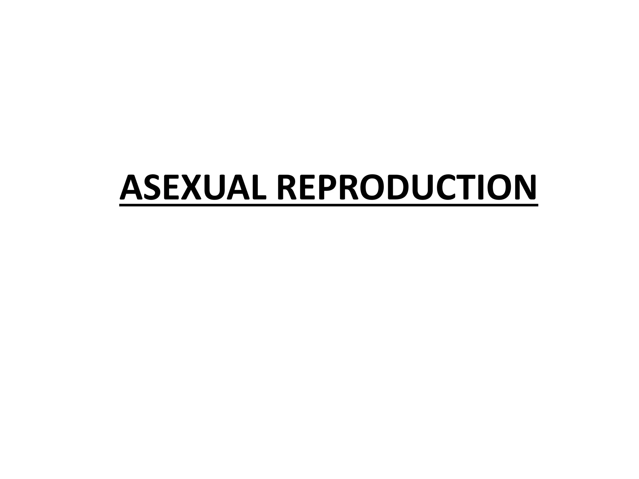 ASEXUAL REPRODUCTION
 