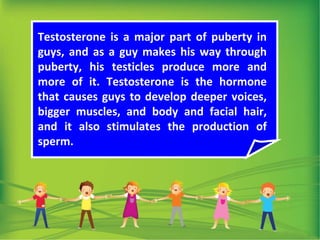Testosterone is a major part of puberty in
guys, and as a guy makes his way through
puberty, his testicles produce more and
more of it. Testosterone is the hormone
that causes guys to develop deeper voices,
bigger muscles, and body and facial hair,
and it also stimulates the production of
sperm.
 