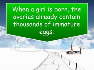When a girl is born, the
ovaries already contain
thousands of immature
eggs.
 