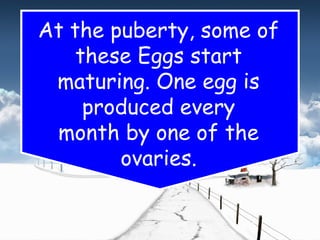 At the puberty, some of
these Eggs start
maturing. One egg is
produced every
month by one of the
ovaries.
 