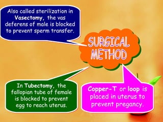 Also called sterilization in
Vasectomy, the vas
deferens of male is blocked
to prevent sperm transfer.
Also called sterilization in
Vasectomy, the vas
deferens of male is blocked
to prevent sperm transfer.
In Tubectomy, the
fallopian tube of female
is blocked to prevent
egg to reach uterus.
In Tubectomy, the
fallopian tube of female
is blocked to prevent
egg to reach uterus.
Copper-T or loop is
placed in uterus to
prevent pregancy.
Copper-T or loop is
placed in uterus to
prevent pregancy.
 