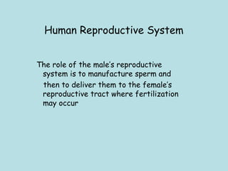 Human Reproductive System
The role of the male’s reproductive
system is to manufacture sperm and
then to deliver them to the female’s
reproductive tract where fertilization
may occur 
 