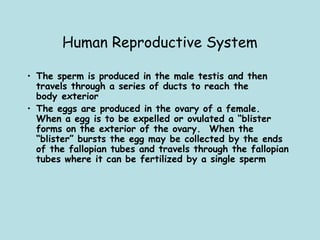 Human Reproductive System
• The sperm is produced in the male testis and then
travels through a series of ducts to reach the
body exterior
• The eggs are produced in the ovary of a female. 
When a egg is to be expelled or ovulated a “blister
forms on the exterior of the ovary.  When the
“blister” bursts the egg may be collected by the ends
of the fallopian tubes and travels through the fallopian
tubes where it can be fertilized by a single sperm
 