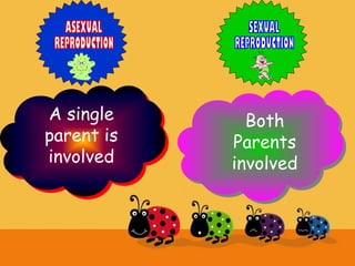 Both
Parents
involved
A single
parent is
involved
 