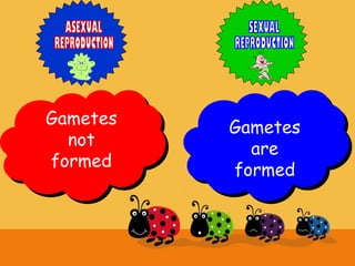 Gametes
are
formed
Gametes
not
formed
 