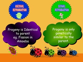 Progeny is Identical
to parent
eg. Fission in
Amoeba
Progeny is only
genetically
similar to the
parent.
 