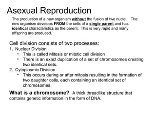 Asexual Reproduction
The production of a new organism without the fusion of two nuclei. The
new organism develops FROM the cells of a single parent and has
identical characteristics as the parent. This is very rapid and many
offspring are produced.
Cell division consists of two processes:
1. Nuclear Division
• This is called Mitosis or mitotic cell division
• There is an exact duplication of a set of chromosomes creating
two identical sets.
2. Cytoplasmic Division
• This occurs during or after mitosis resulting in the formation of
two daughter cells, each containing an identical set of
chromosomes.
What is a chromosome? A thick threadlike structure that
contains genetic information in the form of DNA.
 