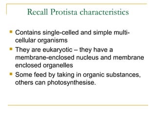 Recall Protista characteristics
 Contains single-celled and simple multi-
cellular organisms
 They are eukaryotic – they have a
membrane-enclosed nucleus and membrane
enclosed organelles
 Some feed by taking in organic substances,
others can photosynthesise.
 