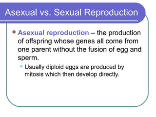 Asexual vs. Sexual Reproduction
Asexual reproduction – the production
of offspring whose genes all come from
one parent without the fusion of egg and
sperm.
Usually diploid eggs are produced by
mitosis which then develop directly.
 
