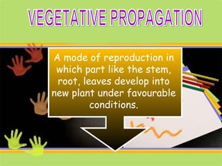 A mode of reproduction in
which part like the stem,
root, leaves develop into
new plant under favourable
conditions.
 