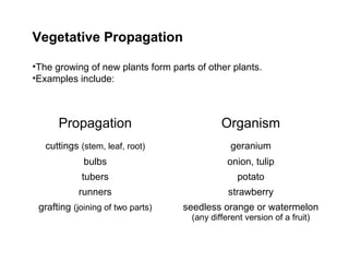 Vegetative Propagation
•The growing of new plants form parts of other plants.
•Examples include:
Propagation Organism
cuttings (stem, leaf, root) geranium
bulbs onion, tulip
tubers potato
runners strawberry
grafting (joining of two parts) seedless orange or watermelon
(any different version of a fruit)
 