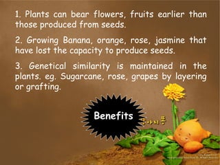 1. Plants can bear flowers, fruits earlier than
those produced from seeds.
2. Growing Banana, orange, rose, jasmine that
have lost the capacity to produce seeds.
3. Genetical similarity is maintained in the
plants. eg. Sugarcane, rose, grapes by layering
or grafting.
Benefits
 