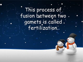 This process of
fusion between two
gamets is called
fertilization.
 