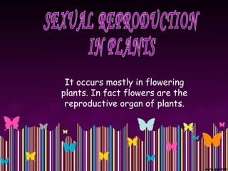 It occurs mostly in flowering
plants. In fact flowers are the
reproductive organ of plants.
 