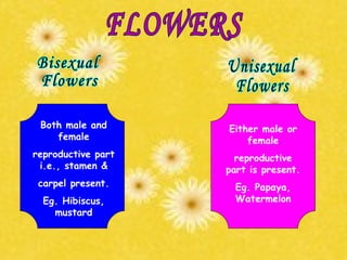 Both male and
female
reproductive part
i.e., stamen &
carpel present.
Eg. Hibiscus,
mustard
Either male or
female
reproductive
part is present.
Eg. Papaya,
Watermelon
 