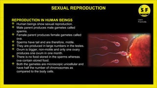 How do organisms reproduce by saloni (1).pptx