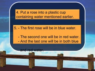 4. Put a rose into a plastic cup
 containing water mentioned earlier.


5. - The first rose will be in blue water.

  - The second one will be in red water.
  - And the last one will be in both blue

    and red water.
 