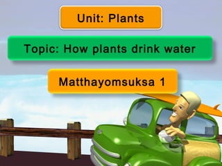Unit: Plants

Topic: How plants drink water

     Matthayomsuksa 1
 