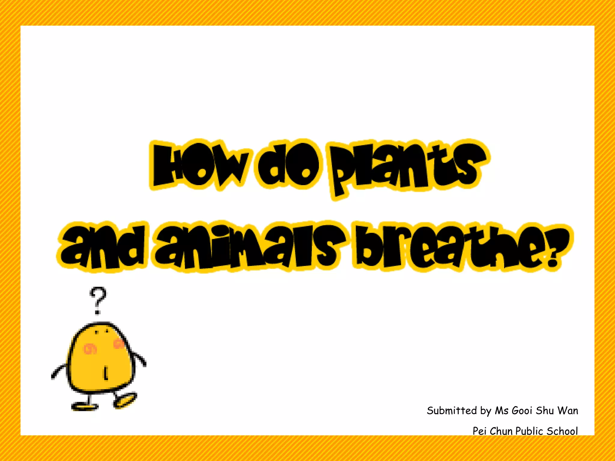 How do plants and animals breathe PPT