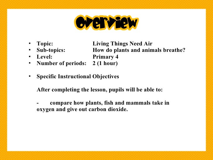 How do plants and animals breathe