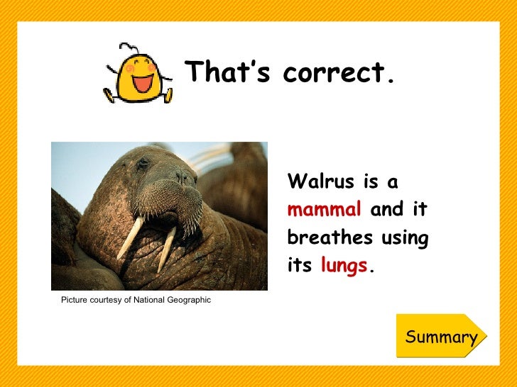 How do plants and animals breathe