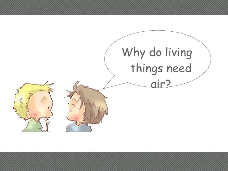 How do plants and animals breathe