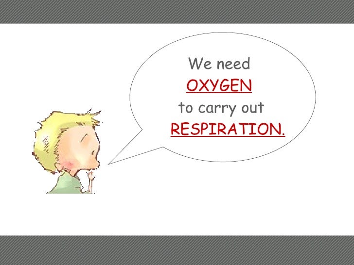 How do plants and animals breathe