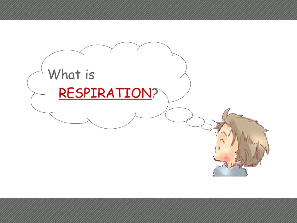 How do plants and animals breathe