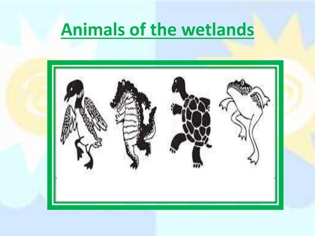 How Do Plants And Animals Survive In Their Habitat PPT