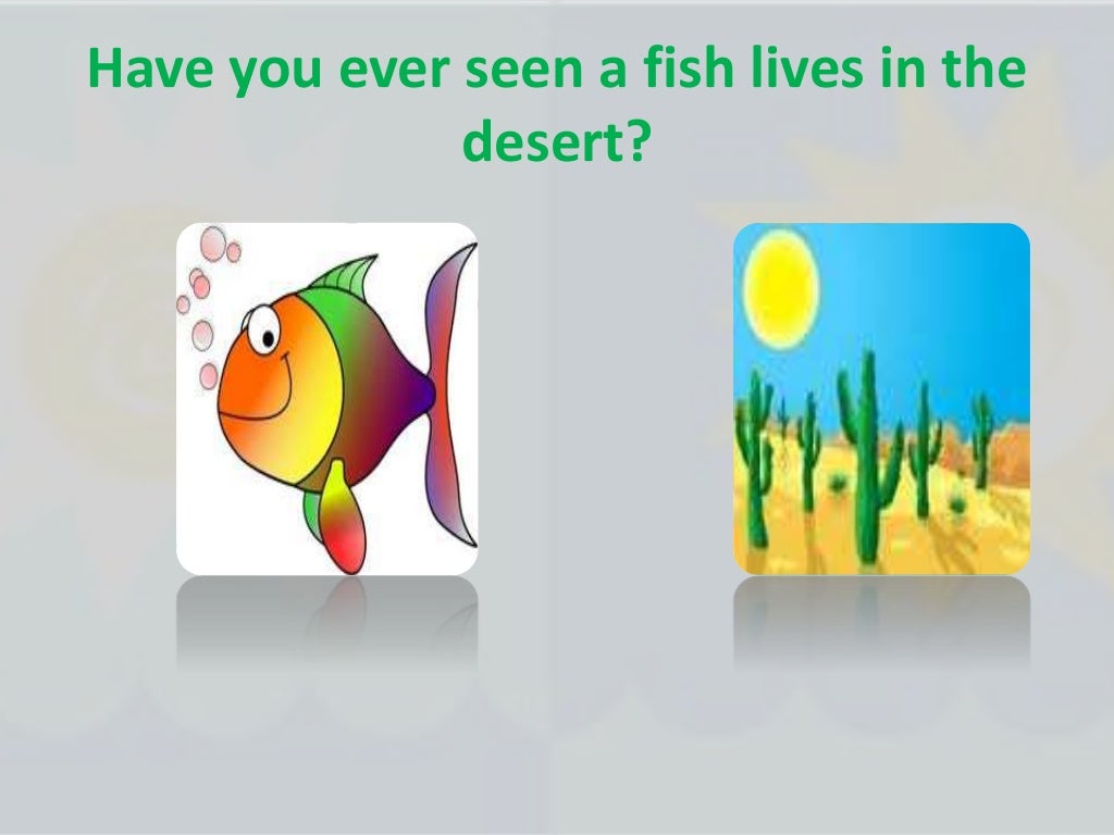 How do plants and animals survive in their habitat