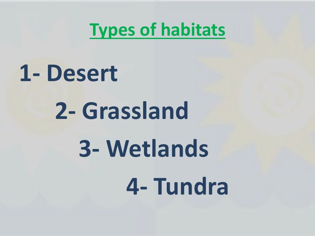 How do plants and animals survive in their habitat