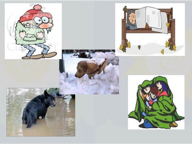 How Do Plants And Animals Survive In Their Wiki