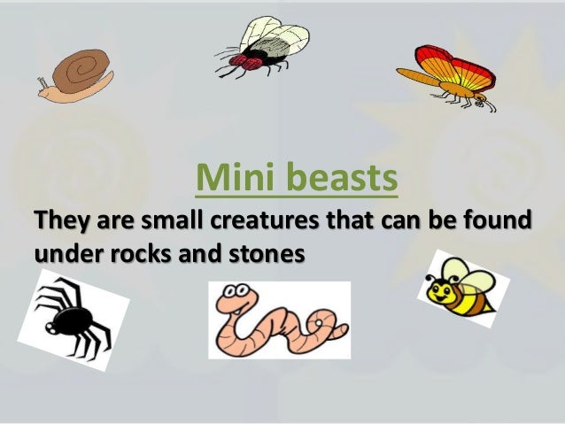 How Do Plants And Animals Survive In Their Wiki