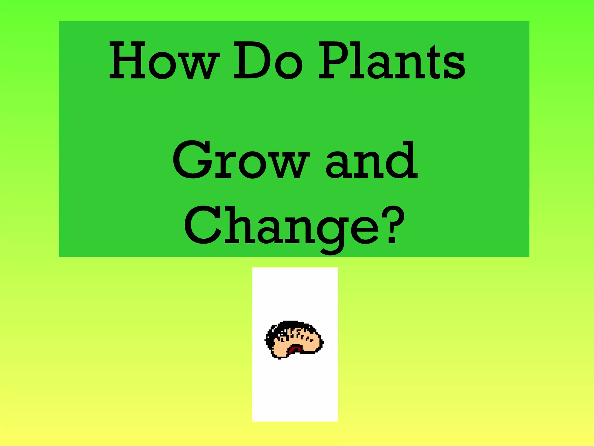 How do plants grow and change chap 2 PPT
