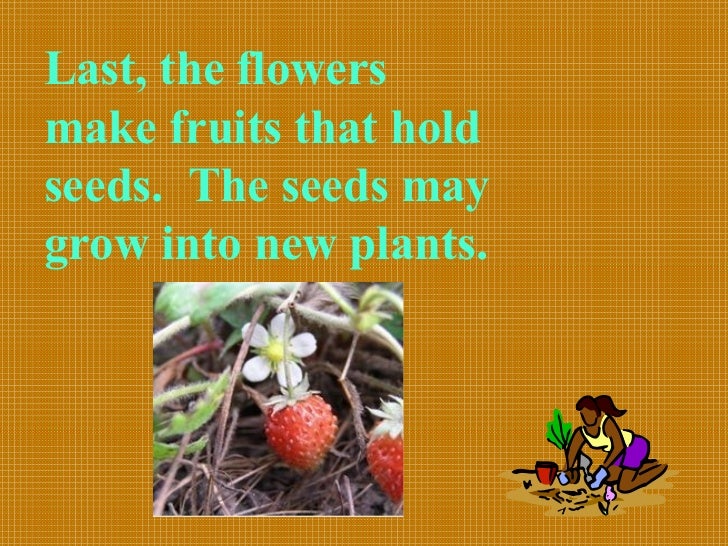 How do plants grow and change chap 2