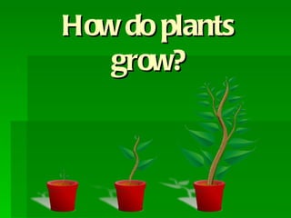 How do plants grow? 