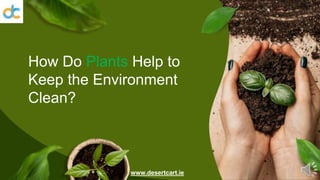 How Do Plants Help to
Keep the Environment
Clean?
www.desertcart.ie
 
