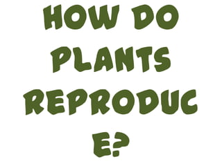 How do
 plants
reproduc
   e?
 