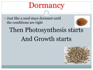 Dormancy
 Just like a seed stays dormant until
the conditions are right
Then Photosynthesis starts
And Growth starts
 