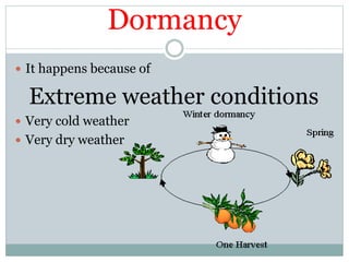Dormancy
 It happens because of
Extreme weather conditions
 Very cold weather
 Very dry weather
 