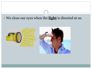 - We close our eyes when the light is directed at us.
 